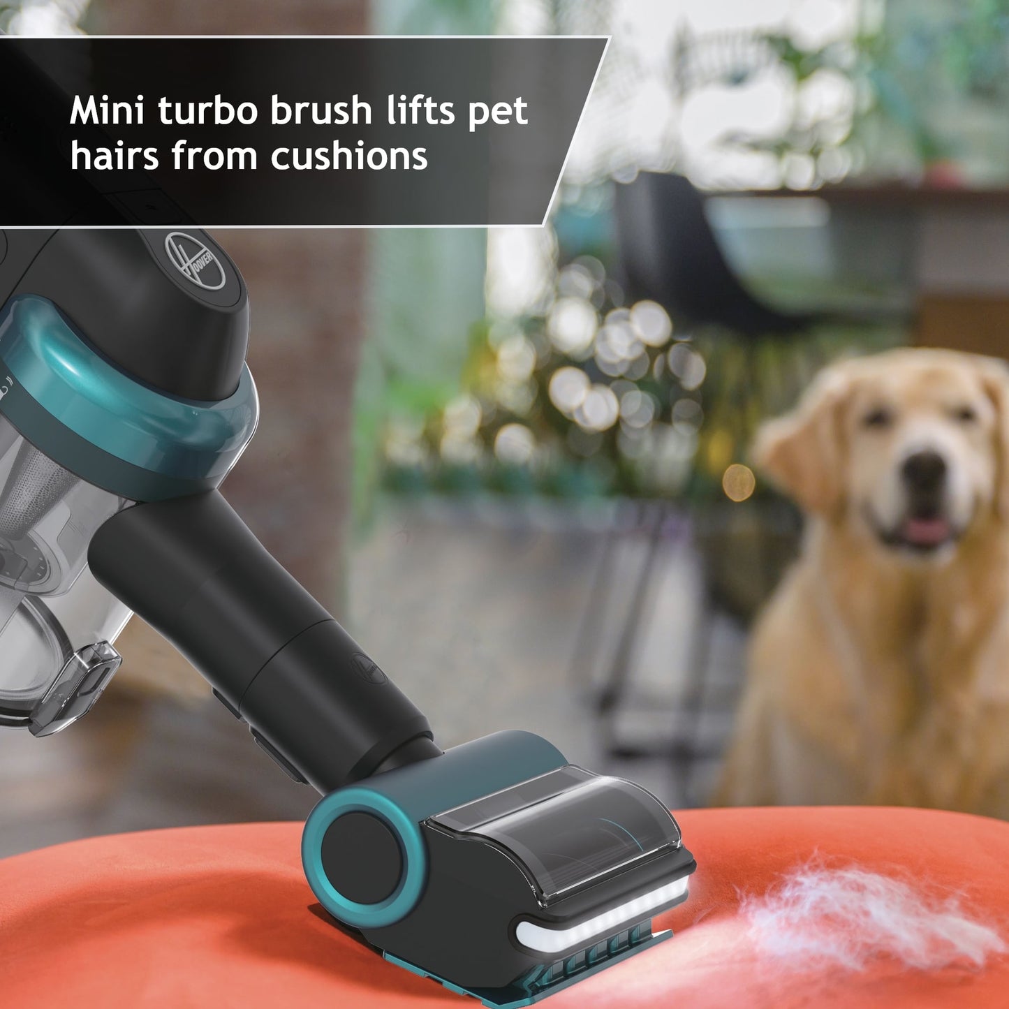 Cordless Vacuum Cleaner with Anti Hair Wrap