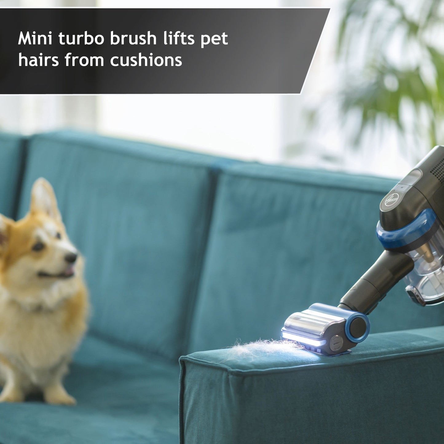 Cordless Vacuum Cleaner with Anti Hair Wrap